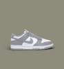 Nike Air Dunk Gri