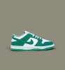 Nike Air Dunk Yeşil