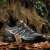 Salomon Outdoor Gri