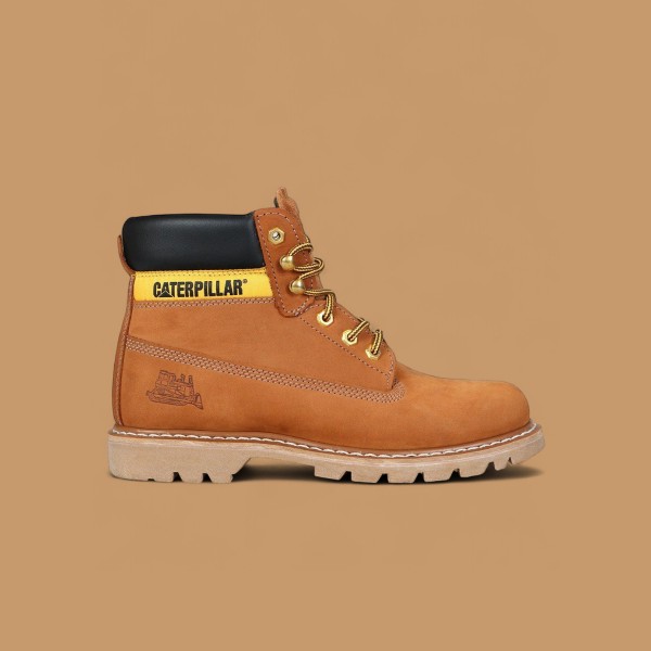 Cat Tarçın Cat Tarçın