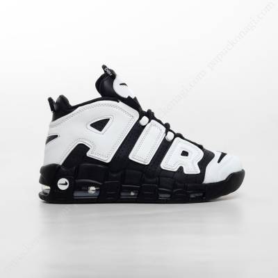 Up Tempo Zebra Up Tempo Zebra
