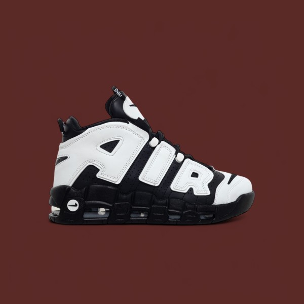 Up Tempo Zebra Up Tempo Zebra